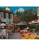 Amusement Disneyland Flower Market Anaheim California Unposted - £10.38 GBP