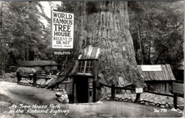 Redwood Highway California At Tree House Park Believe It Or Not Postcard Z27 - £5.53 GBP