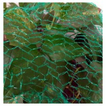 16&#39; Anti Bird Poultry Netting Mesh Net Fish Plant Garden Protection BIRDNET-205 - £9.19 GBP