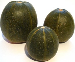 Guashi Store 35 Seeds Sweet Tatume Squash Cucurbita Pepo Calabash Calabacita Mex - £7.72 GBP