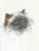 #296 HIMALAYAN CAT portrait art print * Pen and ink drawing by Jan Jellins - $12.50