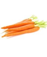 SEPTH Imperator Carrot Seeds Daucus Carota B81 - $168.16 MXN