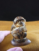 (tne-ape-ch-318b) Chimpanzee monkey ape TAGUA NUT nuts figurine carving ... - $26.61