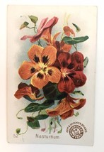 #52 NASTURTIUM Beautiful Flowers Card ARM &amp; HAMMER Church &amp; Co. 1800s - £15.96 GBP