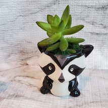 Animal Planters with Succulents, Fox and Raccoon, 3 inches, ceramic image 8