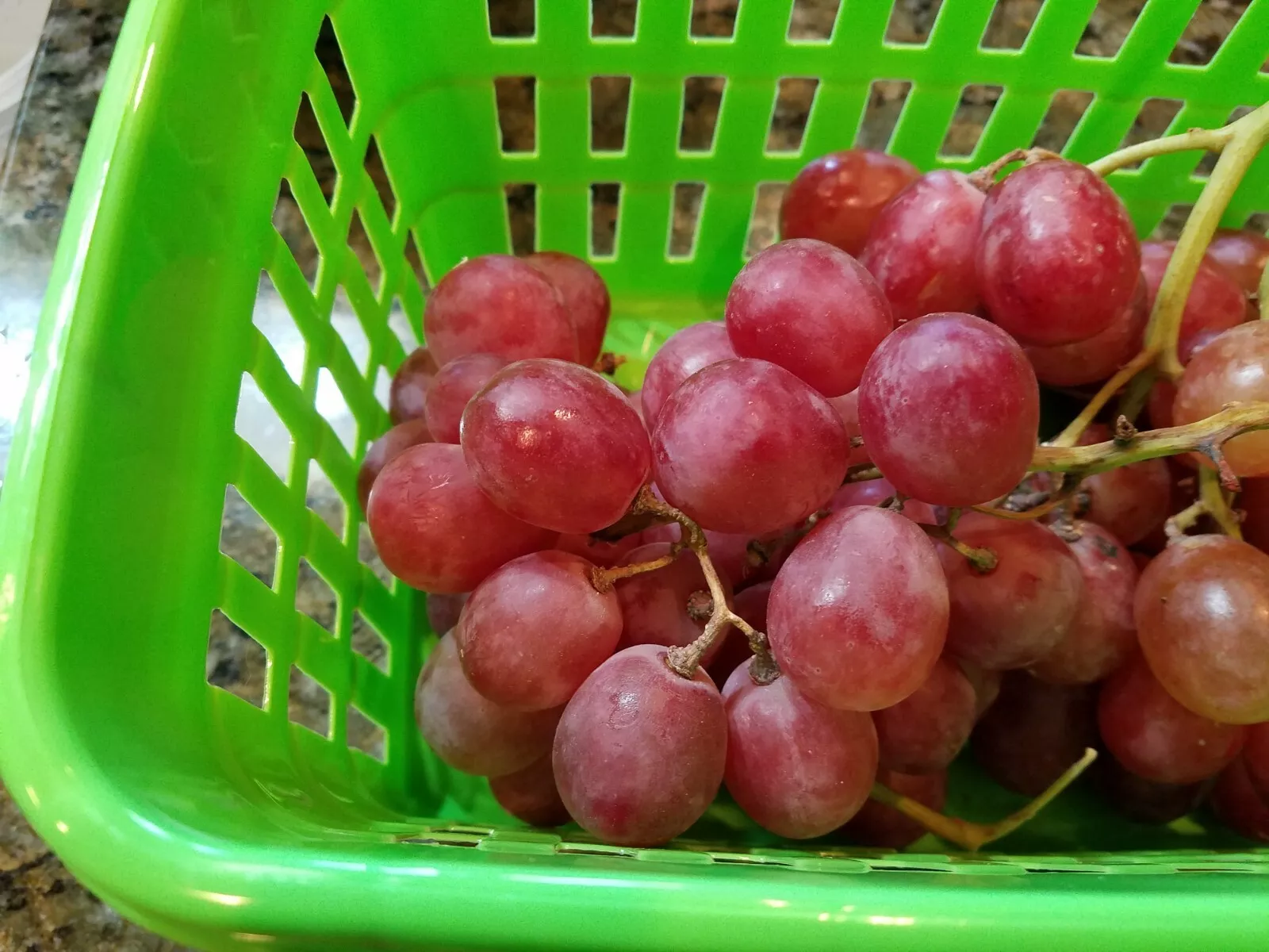 10 Seeds of Delicious Red Globe Sweet Table Grape Seeds E69.5 Item image 4