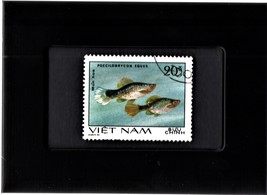 Tchotchke Framed Stamp Art Collectable Postage Stamp - Three-striped Pen... - £7.00 GBP
