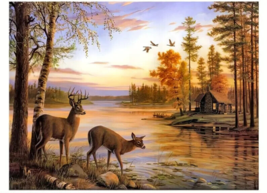 Scenic Deer Wildlife Canvas Print 16&quot; x 24&quot; Wall Art - $9.95