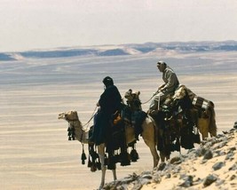 Lawrence of Arabia Peter O&#39;Toole &amp; Omar Sharif cross desert on camels 8x10 photo - $10.99