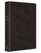 The Greek New Testament, Produced at Tyndale House, Cambridge (TruTone, ... - $45.49