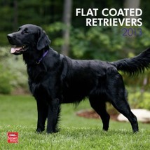 (12x12) Flat-Coated Retrievers - 2013 Wall Calendar - £5.58 GBP