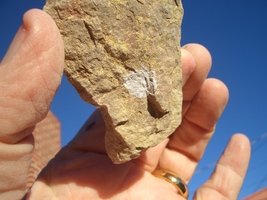 CARNOTITE URANIUM ROCK   2.6 OZ 53,300. CPM  JURASSIC CANYON  $35.00 +$1... - $35.00