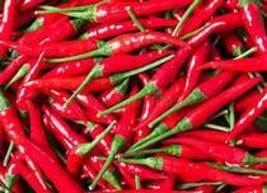 “ 5 PCS 20 SEEDS Fire Red Pod Pepper Hot Chilli Vegetable Seeds, tabasco red clu - £12.50 GBP