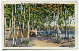 White Birch Trees State Camping Grounds Tupper Lake New York 1934 linen postcard - £4.60 GBP