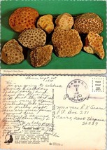 Michigan Emmet County Petoskey Stone Posted Sep 1 1977 to Cairo WV VTG P... - $9.40