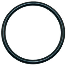 Aladdin O125 O-Ring Replacement For O-125 Pool O-Ring - $9.47