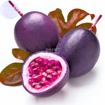 Passion Fruit Passiflora Edulis Fruit Seeds 20 Seeds Professional Pack Tasty Swe - £5.57 GBP