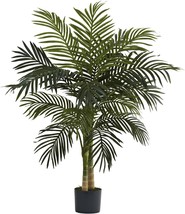 5357 4 Feet Of Golden Cane Palm Tree That Is Almost Natural. - £46.95 GBP