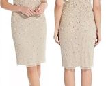 $249 Adrianna Papell Boat Neck Short Sleeves Knee Length Beaded Dress Si... - $64.85