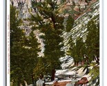 National Park Bellezze Cervo W S Berry Gardiner Montana MT Unp DB Cartol... - $19.29
