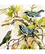 Black Throated Blue Warblers 1957 Lithograph Bird Print John H Dick DWDD5 - €42,89 EUR