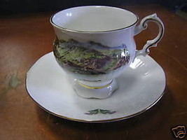 Rare Elizabethan China Cup &amp; Saucer-...IN The Trossachs - £12.31 GBP