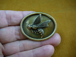 (b-bee-214) Bumble bee honey bees Hornet oval brass pin pendant love bug... - $17.75