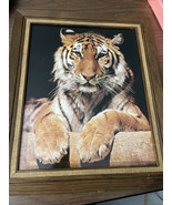 Vintage Bengal Tiger Laser Photograph Picture 20” x 24” Framed-Rare - $89.09