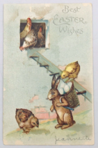 1907 IAPC Embossed Best Easter Wishes Rabbit w/ Roosters and Chicks Postcard - £14.77 GBP