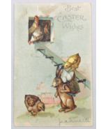 1907 IAPC Embossed Best Easter Wishes Rabbit w/ Roosters and Chicks Post... - £14.58 GBP