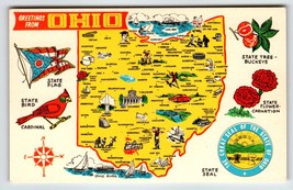 Postcard Greetings From Ohio Map Chrome State Flower Carnation Cardinal Buckeye - £7.90 GBP