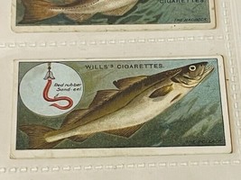 WD HO Wills Cigarettes Tobacco Trading Card 1910 Fish Bait Lure #41 Poll... - $19.69