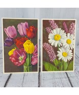 Vintage Thor E Gyger Switzerland Postcard Set 2 Ox-Eyed Daisy Snake-weed... - £9.73 GBP