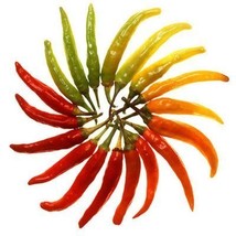 HeirloomSupplySuccess 25 Heirloom Hot Serrano Chili Pepper seeds - £3.18 GBP