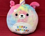 Original Squishmallows Happy Birthday Delenne S8-#1025 12” X 9” - £15.83 GBP