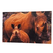 Postcard World Wildlife Fund African Rhino Rhinoceros Safari Animal Chrome - £5.54 GBP