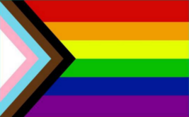 Progressive Pride Rainbow LGBT Equality Equal USA Large 4X6 Flag Rough T... - $36.00