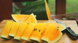 50 Borries Yellow Watermelon Seeds For Garden Planting    From US - $10.48