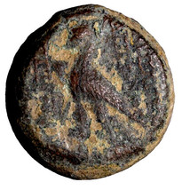 Item image 15