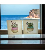 Kirklands Set Of 2 Wrapped Canvas Art Flowering Succulents By Tava Potte... - $37.40