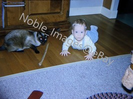 1965 Baby Boy Crawling with Cat Newport RI Kodachrome 35mm Slide - £4.34 GBP