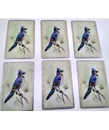6 Blue Jay Playing Cards for Crafting, Re-purpose, Up-cycle, Vintage Sup... - £1.80 GBP