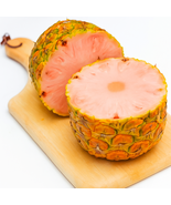 15 Pinkglow Pineapple Seeds, Sweet Tropical Exotic Plant - $12.99