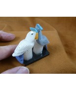 (Y-BIR-CO-400) pair of Cockatoos blue + white love bird gemstone STONE g... - $13.29