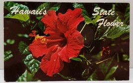 Hawaiian State Flower Red Hibiscus 1963 Postcard A14 - $8.95