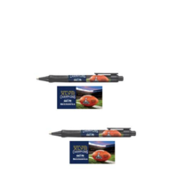 2006 Super Bowl XL  Seattle Seahawks CHAMPIONS NFL Football PEN SET OF 2... - $15.70