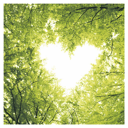 Paper+Design Nature Luncheon Napkins - Love - $33.45