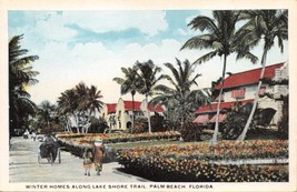 Palm Beach Florida~Winter Homes Along Lake Shore Trail~Van Noy Publ Postcard - £5.44 GBP