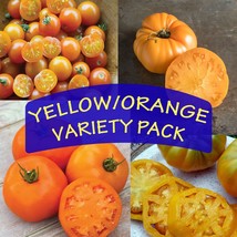 (4) Yellow/Orange Variety Pack! Live Mix of Tomato Plants.  Stout 5&quot; Tall Plants - £19.66 GBP