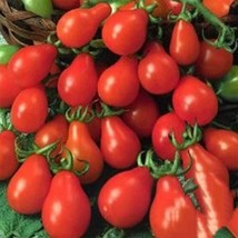 BPA Red Pear Cherry Tomato Seeds Non Gmo 50 Seeds Heirloom From US - £7.07 GBP